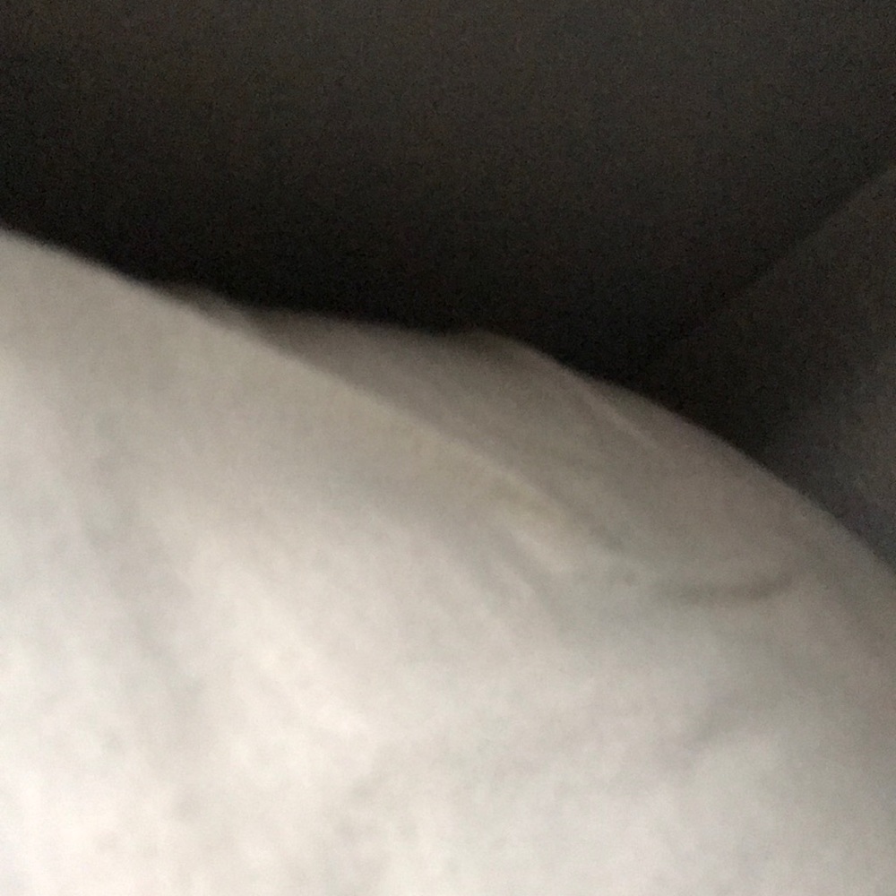 Meet your Posher, Jeremy